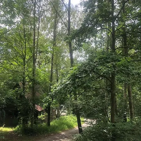 De Wegwam Durbuy Chalet *